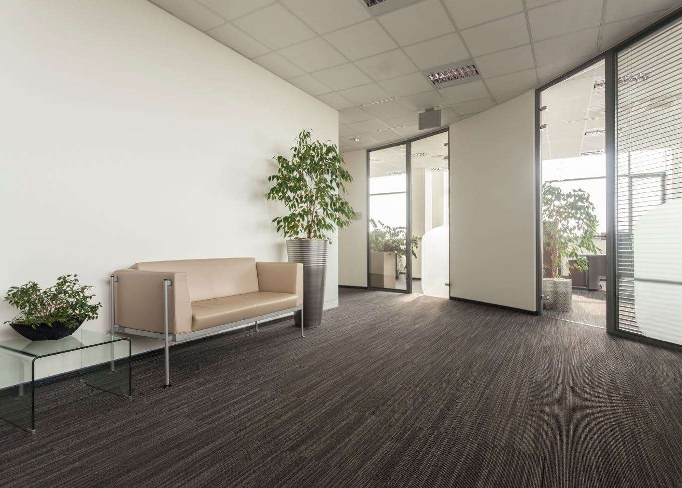 Interior of a commercial office with couch in the waiting area, tall indoor plant, and plant on glass table